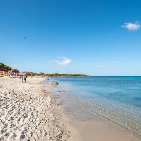 Nel Cortile Della Casa Di Carta, Due Singole Unita * Torpè