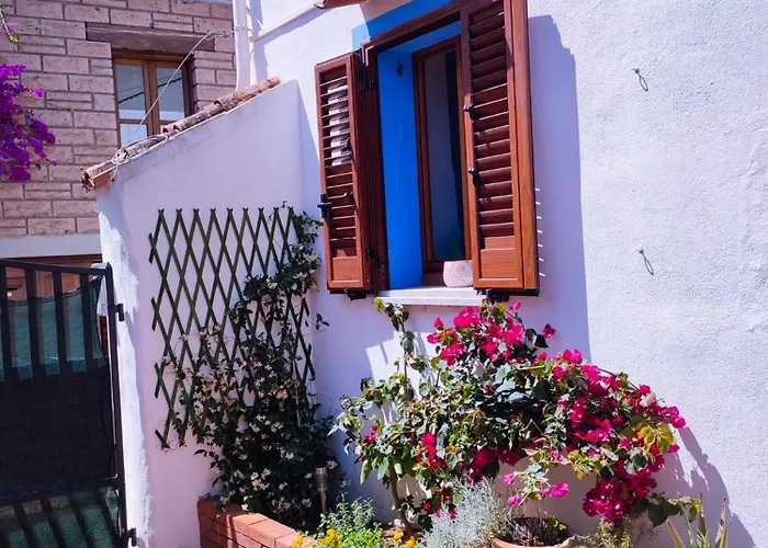 Nel Cortile Della Casa Di Carta, Due Singole Unita